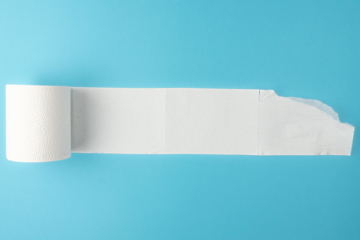 Partially Unrolled Toilet Paper Roll